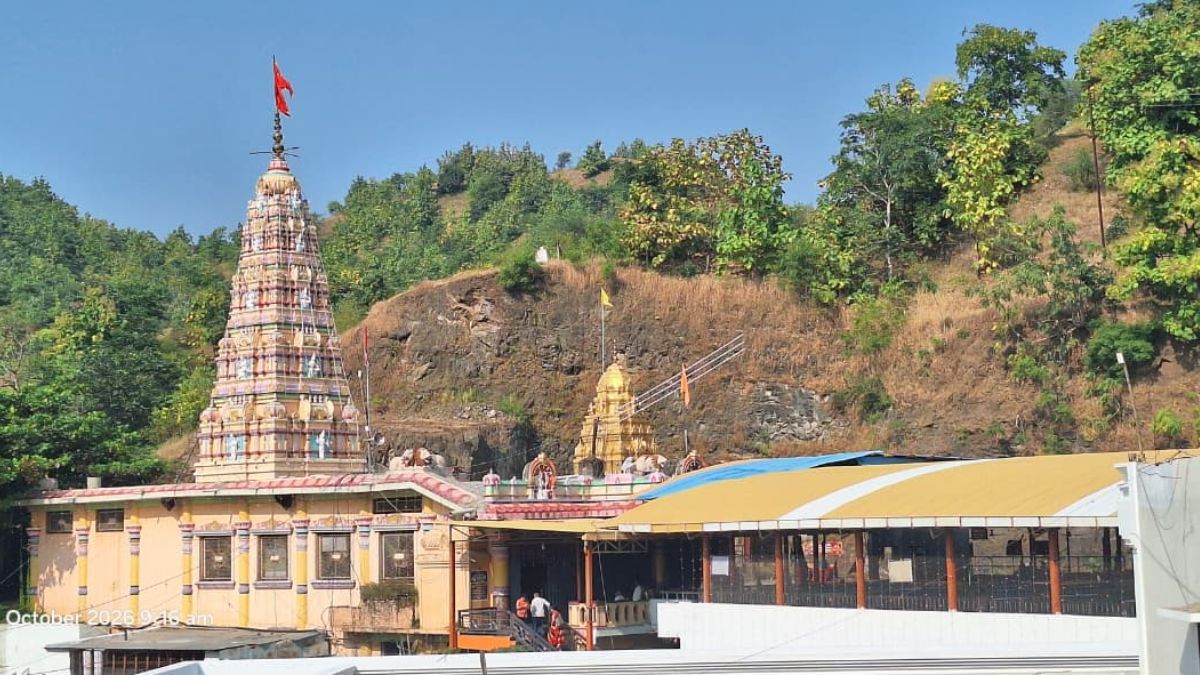 naidunia_image